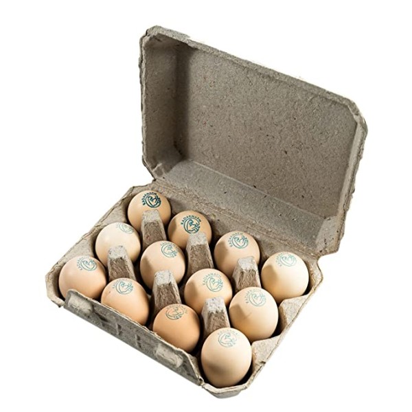 Kadaknath Free Range Organic Pure Kadaknath Eggs, High Protein Eggs. Rich in Iron Content (Pack of 12 Eggs)