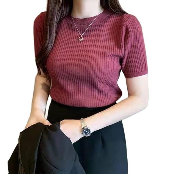 Stylander Plain Round Neck Rib Knit Regular Top for Women