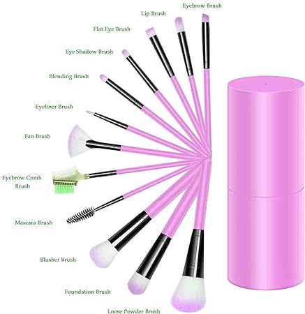 Professional Luxury Makeup Brush Set with Storage Box - 12 Piece Pink Brushes Makeup Kit for Girls (Pack of 12)