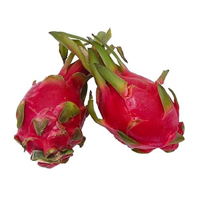 Fresh Dragon Fruit Imported White, 1pc (approx. 250g -350g)