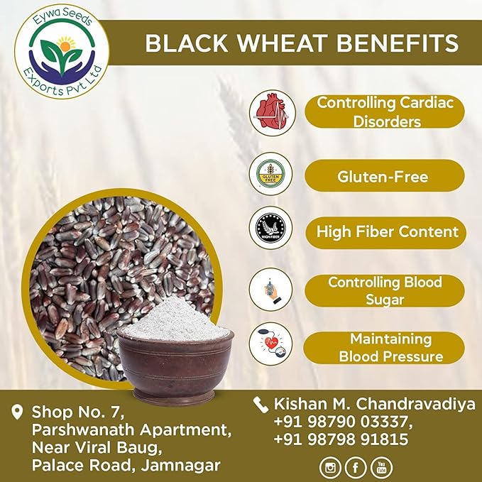 BLACK WHEAT FLOUR (5 KG) for eating and cooking | kale gehu ka atta | Produce of India from Organic Farms | BY EYWA