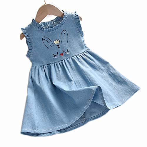 BENKILS Cute Fashion Floral Embroidered Cotton Denim Casual Frocks Dress