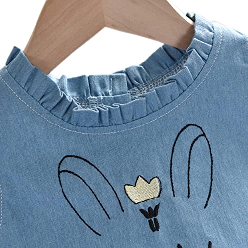 BENKILS Cute Fashion Floral Embroidered Cotton Denim Casual Frocks Dress