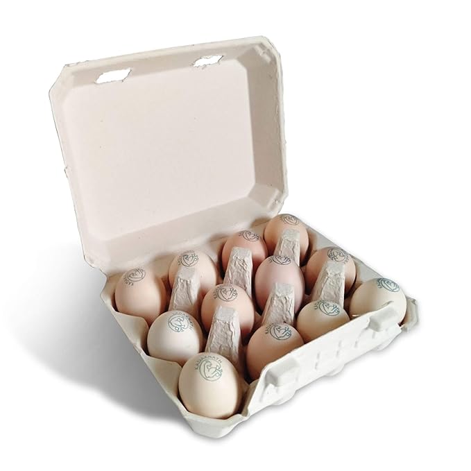 Kadaknath Free Range Organic Pure Kadaknath Eggs, High Protein Eggs. Rich in Iron Content (Pack of 12 Eggs)