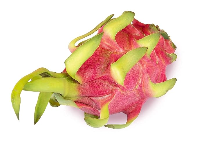 Fresh Dragon Fruit Imported White, 1pc (approx. 250g -350g)
