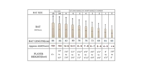 Ske Popular Willow Cricket Bat With Bat Cover For Men'S And Adult All Tennis Ball (Natural, Full Size), Wood, Multicolour