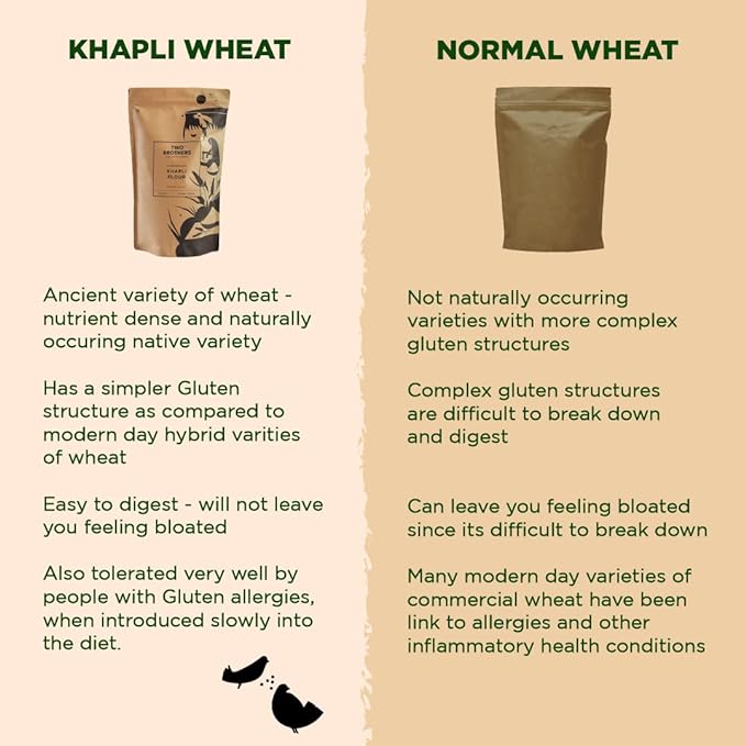 Two Brothers Organic Farms - Khapli Wheat Flour (5kg) | Wheat Flour | High Dietary Fiber for Easy Digestion | Stoneground Emmer Wheat Flour | Khapli Atta